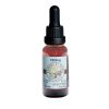 eau claire hemp cbd wonders of nature cbd oils extracts soul shine photography 6623 4183 1